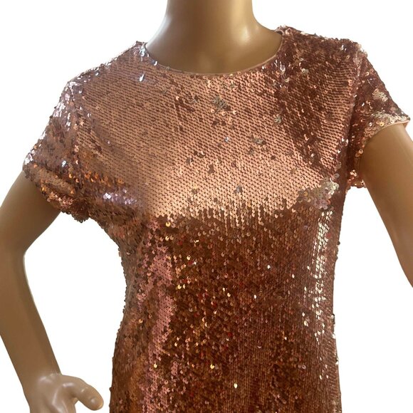 NWOT Rose Gold short sleeve sequin mini swing shift dress; SZ M; Nude Lining - Picture 8 of 8